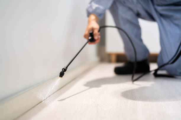 Bed Bug Pre-Treatment Preparation Assessment in Beesleys Point