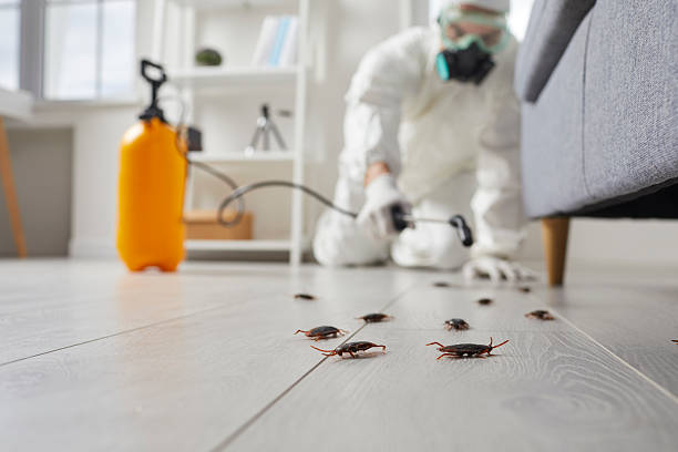 Post-Treatment Bed Bug Interceptor Monitoring in Beesleys Point