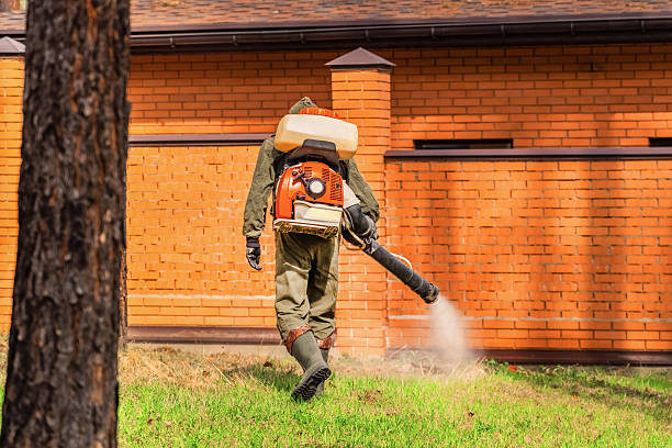 Bed Bug Clearance Verification and Documentation in Beesleys Point